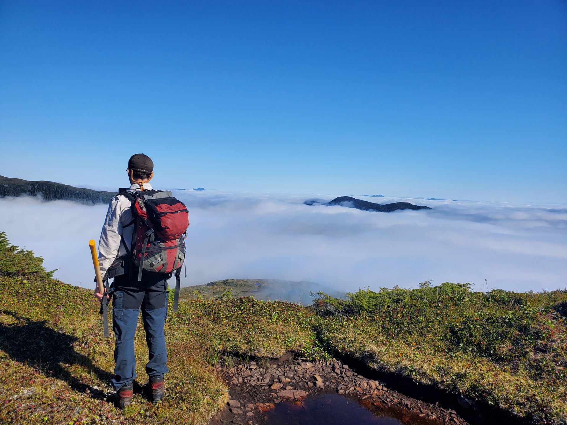Hiker overlooking a sea of clouds and mountains.
